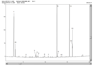 GC_FID-Chromatogramm